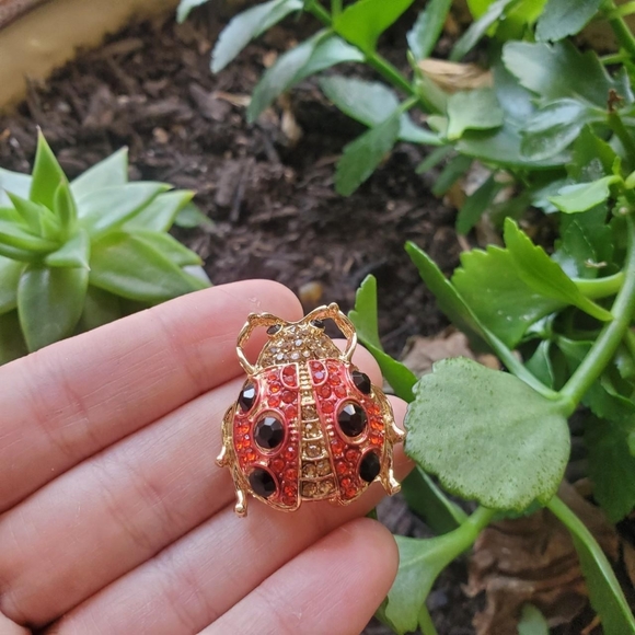 New Adorable Ladybug Brooch Pin - Picture 3 of 4